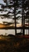 Tentsile tents- rental and experiences