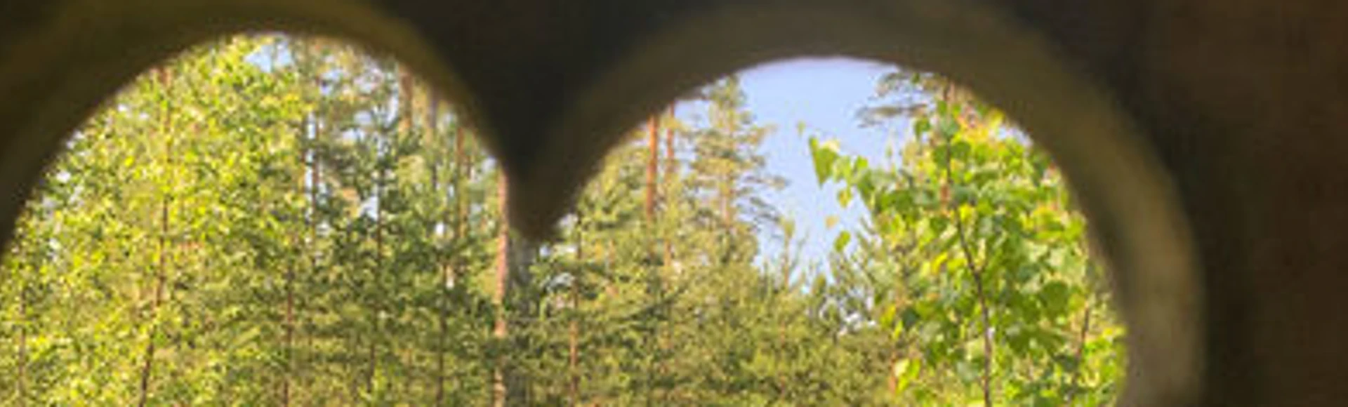 Metsänautti suosittelee