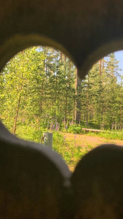 Metsänautti suosittelee