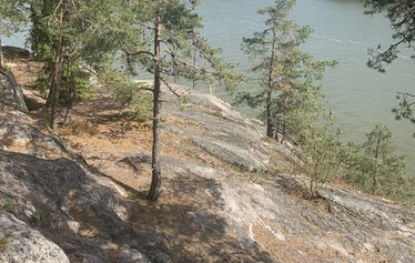 Sarvikallio, Tuusulanjärvi, Metsänautti - Sarvikallio, näköalapaikka, Tuusulanjärvi, Metsänautti.