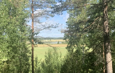 Sarvikallio, Tuusulanjärvi, Metsänautti - Sarvikallio, näköalapaikka, Tuusulanjärvi, Metsänautti.