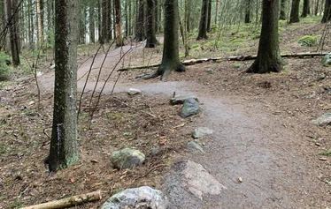 Sarvikallio, Tuusulanjärvi, Metsänautti - Sarvikallio, näköalapaikka, Tuusulanjärvi, Metsänautti.