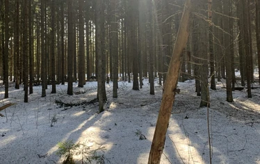 Sarvikallio, Tuusulanjärvi, Metsänautti - Sarvikallio, näköalapaikka, Tuusulanjärvi, Metsänautti.