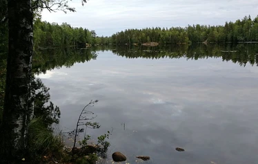 Luontoretki, Metsänautti - Luontoretket kaikkina vuodenaikoina, kaikilla aisteilla, Metsänautti.