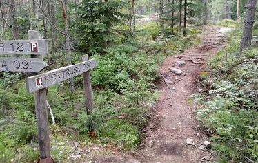 Luontoretki, Metsänautti - Luontoretket kaikkina vuodenaikoina, kaikilla aisteilla, Metsänautti.
