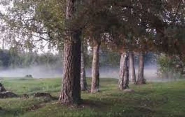 Tensile teltta, Tuusula - Tensile teltta elämys Tuusulassa, Metsänautti