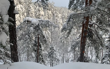 Nuuksio Nationalpark - Aussichtspunkt im Nuuksio Nationalpark