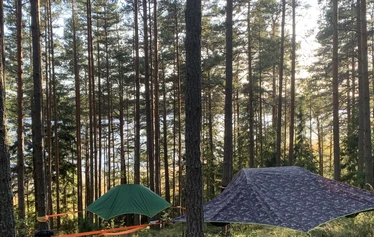 Tensile lahjakortti - Metsänautti lahjakortti, Tensile