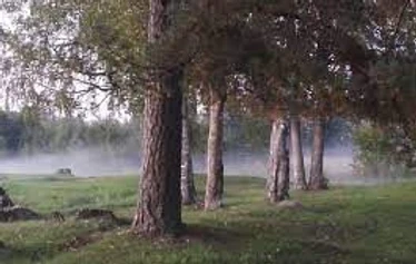 Tensile elämys lahjakortti, Lammaskallio Tila, tuusulanjärvi - Metsänautti  Tenstile lahjakortti elämykseen Lammaskallion Tilalle Tuusulaan