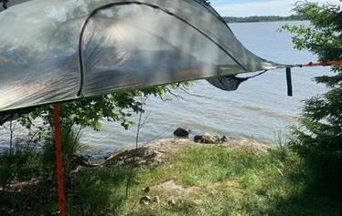 Tensile elämys Tuusulanjärven rannalla - Tensile teltta puiden syleilyssä, Metsänautti