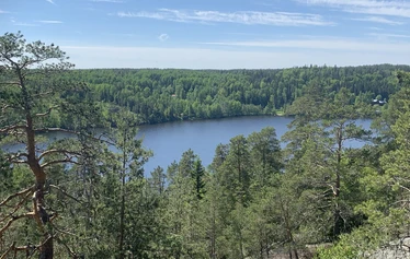 Luontoretki, Metsänautti - Luontoretket kaikkina vuodenaikoina, kaikilla aisteilla, Metsänautti.