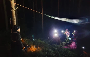 Metsäsynttärit- metsäseikkailua, Metsänautti Tuusulassa. - Metsänautin lasten metsäsynttäreillä Tuusulassa nautitaan metsässä seikkailusta ja luonnon omista seikkailumahdollisuuksista.