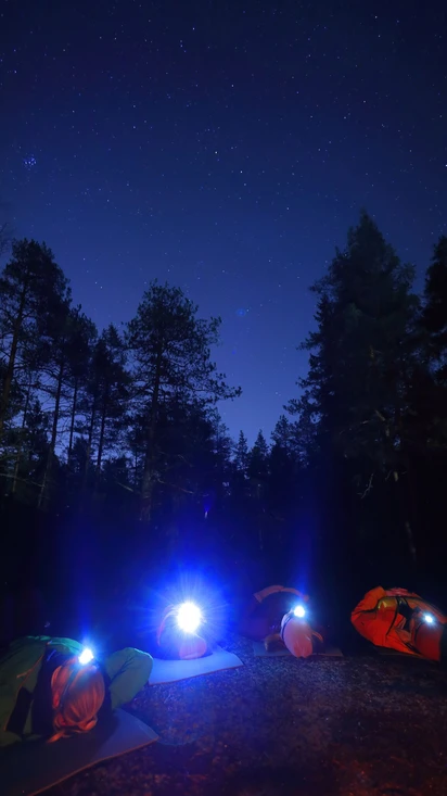 Metsänautti’s Adventure in the Dark