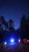 Metsänautti’s Adventure in the Dark