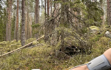 ForestMed - ForestMed palvelun tuottajat ovat erä- ja luonto-oppaita ja terveydenhuollon ammattilaisia.