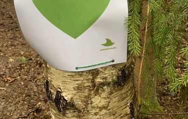 Asititreffit luonnossa, Metsänautti - Lähde asitirikkaille treffeille luontoon Tuusulaan, Metsänautti