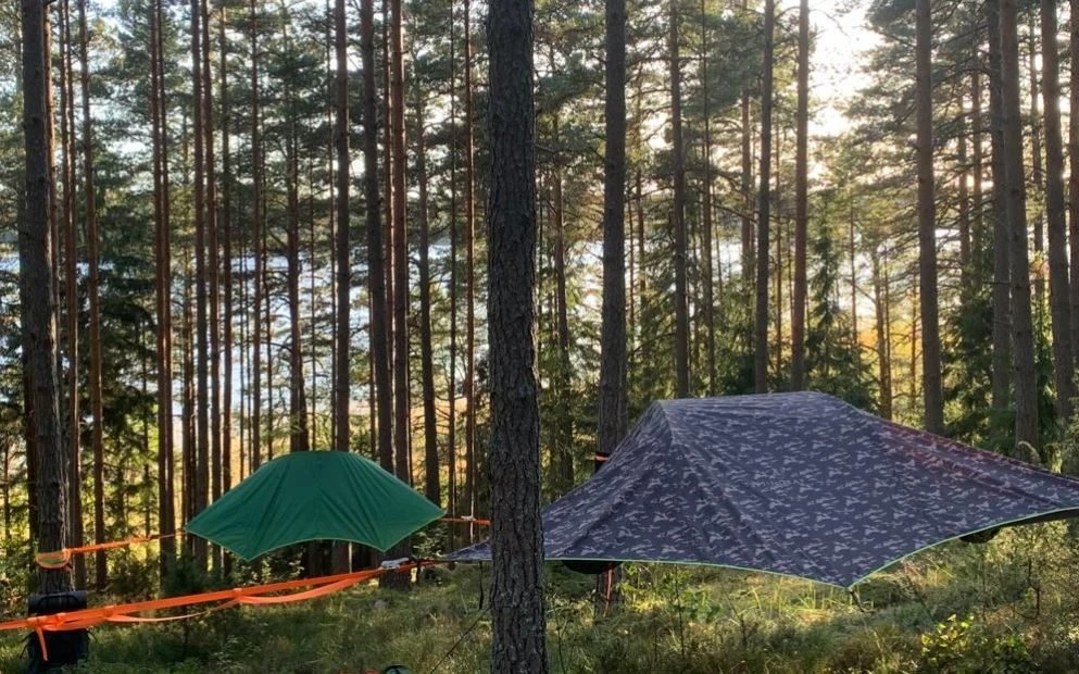 Vuokraa Tentsile Stingray Metsänautin Retkikauppa