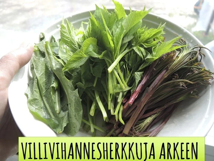 Vuokraa Tentsile Connect (2 henk) Lammaskallion tila