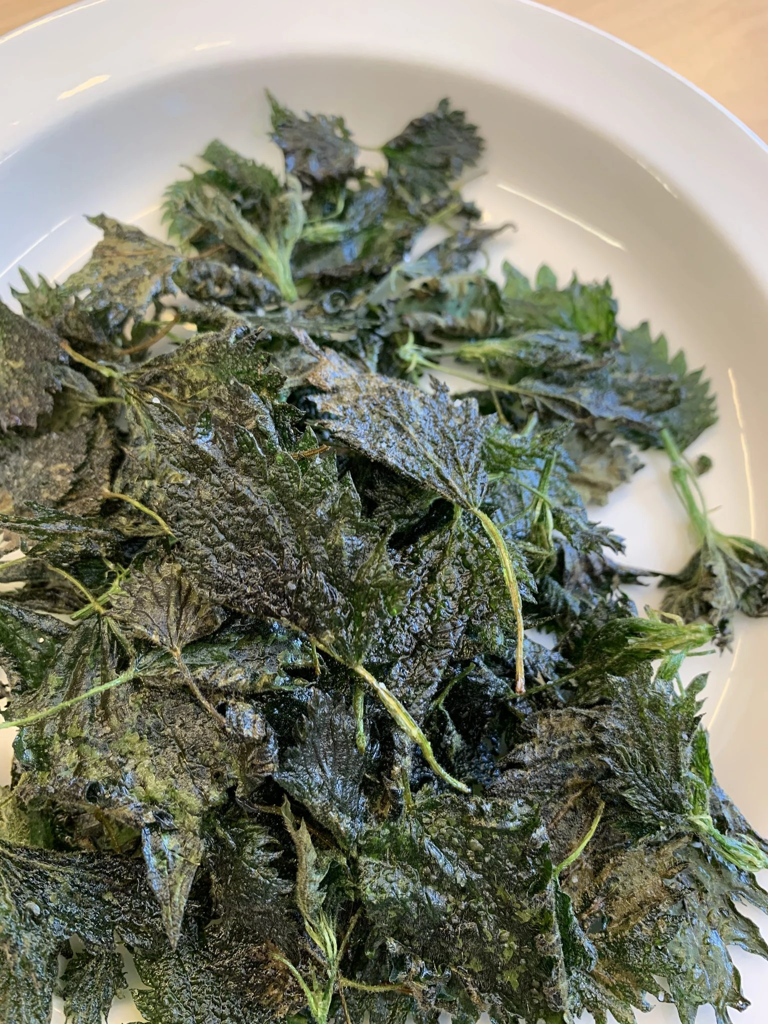 Vuokraa TentsileFlite+ (12 henk) Lammaskallion tila