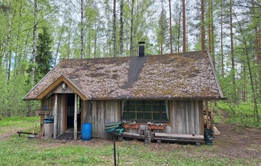 Mökki 4 Mettäpöyröö