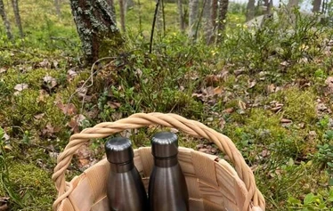 Mökki 1 Minttumaari