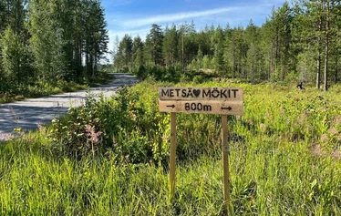 Mökki 4 Mettäpöyröö
