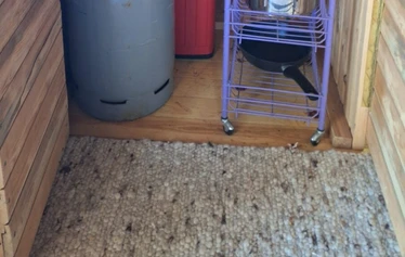 Mökki 1 Minttumaari