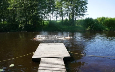 Lapsia uimassa laiturin vieressä