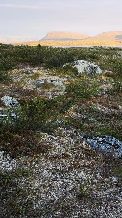 Retkeilyvälineet VUOKRAUS