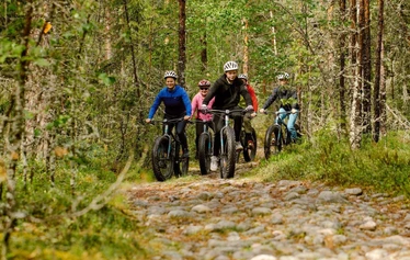 Fatbike-pyöräilyä Teijon kansallispuistossa - Osa kansallispuiston reiteistä on tarkoitettu maastopyöräilyyn. Ryhmä pyöräilijöitä tutustuu kesäiseen Teijon kansallispuistoon fatbike-pyörillä. 