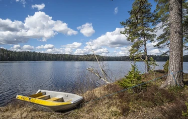 Myllyjärven mökki sijaitsee Raaseporin Fiskarissa, asumattoman Myllyjärven rannalla.
