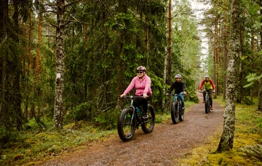 Cycling in Teijo National Park - Rent a fatbike and get to know the trails and gravel roads of Teijo
