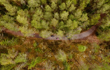 Cycling in Teijo National Park - Rent a fatbike and get to know the trails and gravel roads of Teijo
