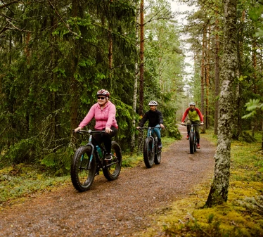 Fatbike tour in Teijo National Park