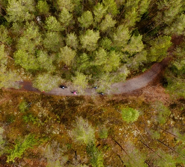 Fatbike tour in Teijo National Park