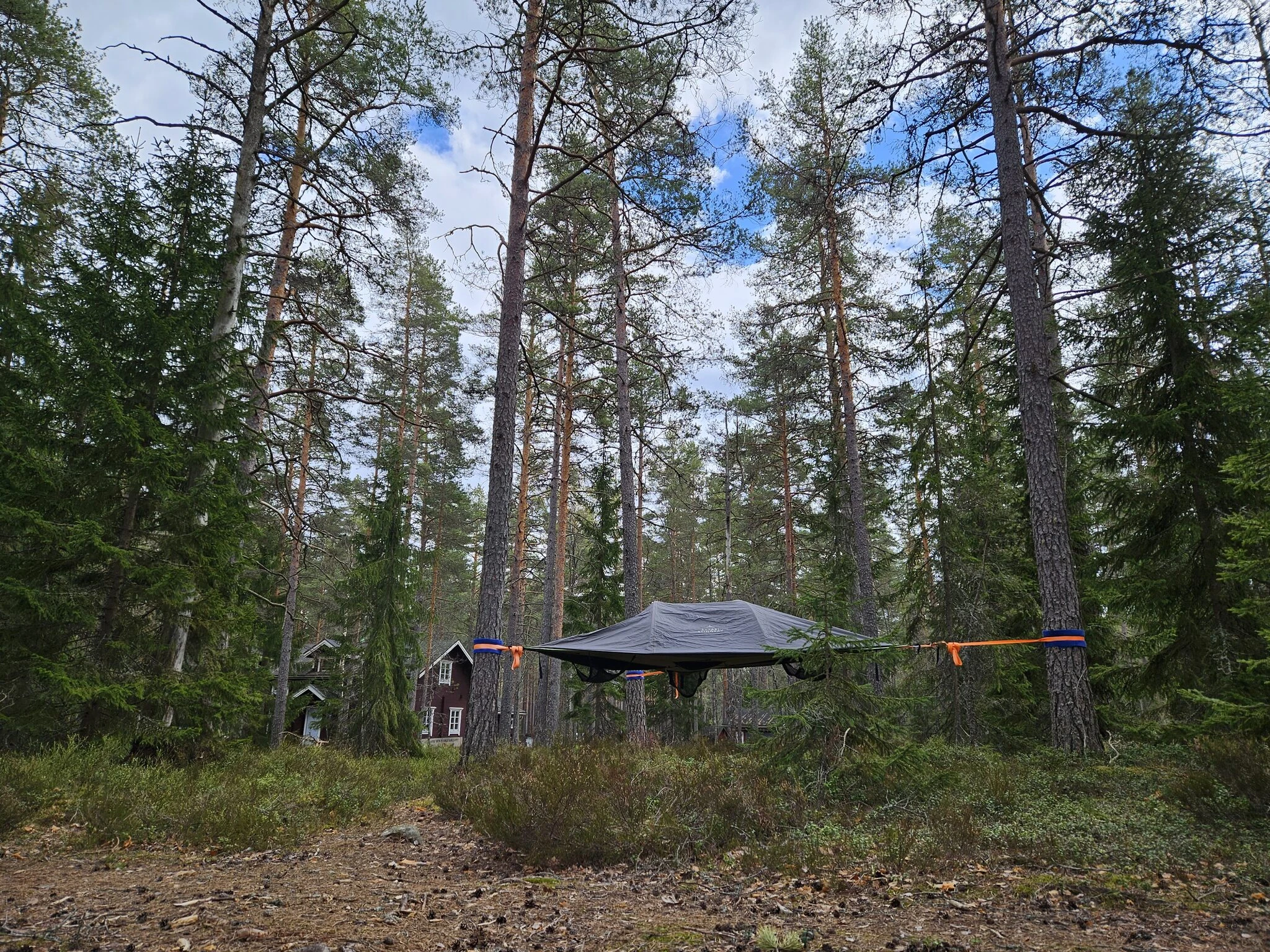 Tentsilemajoitus Teijon kansallispuistossa! Natura Viva