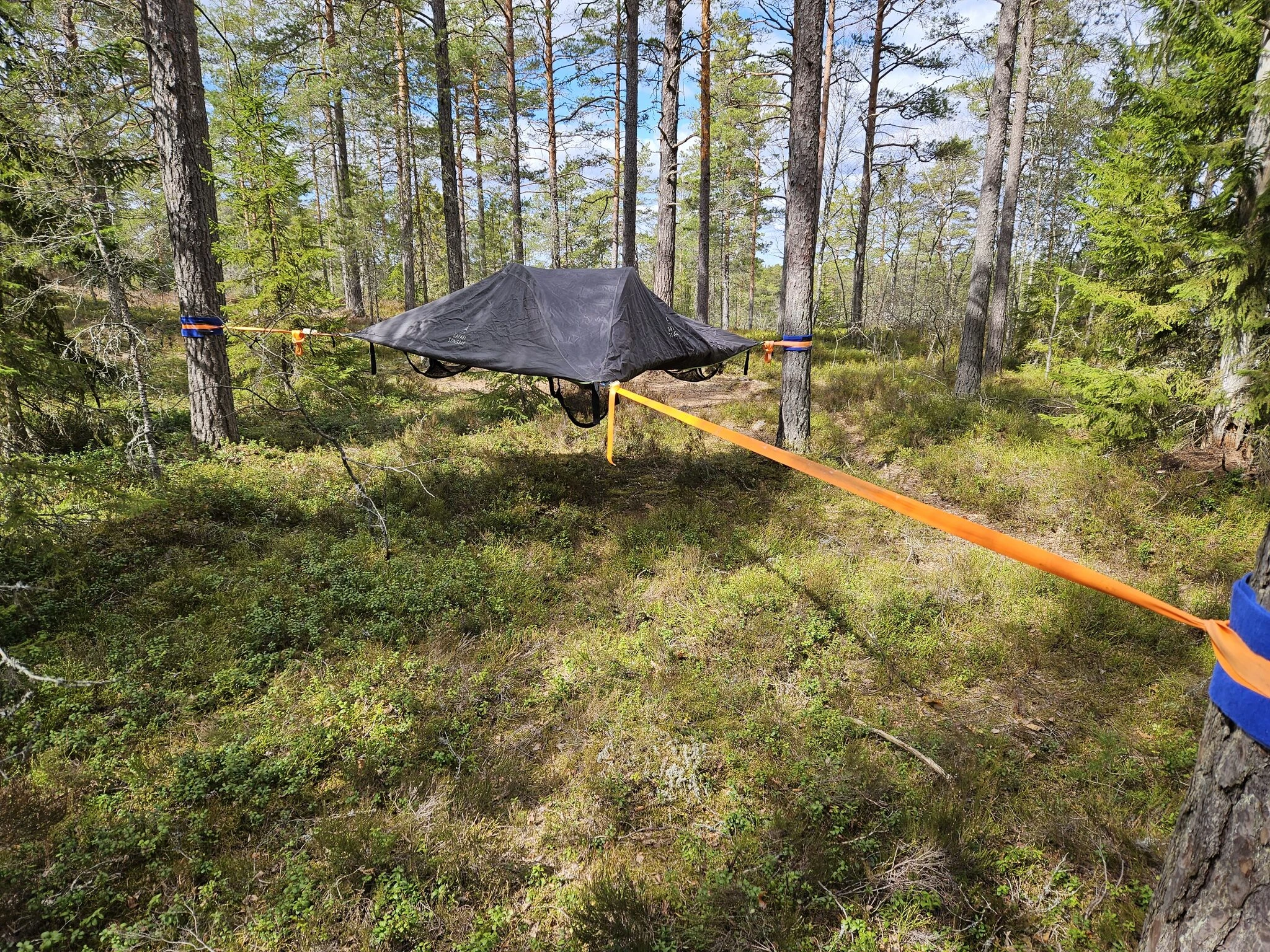 Tentsilemajoitus Teijon kansallispuistossa! Natura Viva