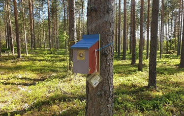 Lasten luontopolulla on 8 linnunpönttöä - Linnunpöntöissä on tehtäviä lapsille.