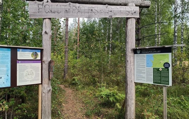 Lasten luontopolulla on 8 linnunpönttöä - Linnunpöntöissä on tehtäviä lapsille.