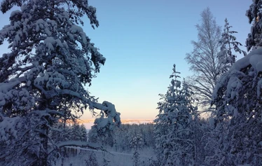 Jään sulamisvesien muovaama drumliini eli maankohouma - Drumliinin luoteispäässä on kallio, johon sulamisvedet törmäsivät.