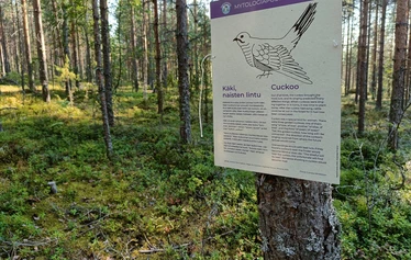 Pienenee kuin pyy maailmanlopun edellä - Mihin tämä sanonta perustuu, selviää lettubaarissa, johon polku päättyy.