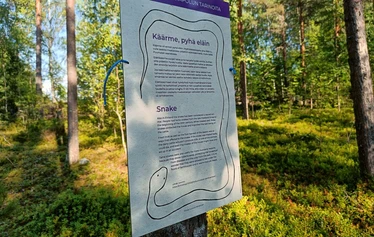 Pienenee kuin pyy maailmanlopun edellä - Mihin tämä sanonta perustuu, selviää lettubaarissa, johon polku päättyy.