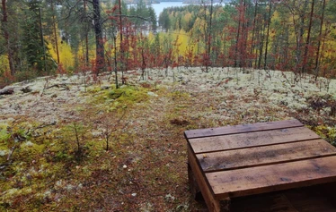 Hyvinvointipolulla on järvinäkymiä - Polku kulkee mm. kapean niemen päähän ja takaisin