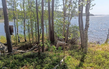 Hyvinvointipolulla on järvinäkymiä - Polku kulkee mm. kapean niemen päähän ja takaisin