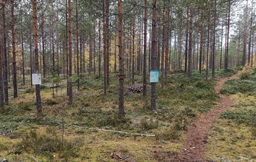 Hyvinvointipolulla on järvinäkymiä - Polku kulkee mm. kapean niemen päähän ja takaisin