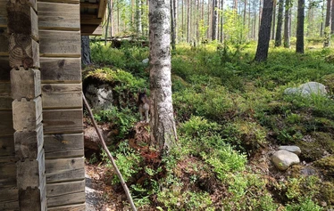 Metsänhaltijan majaa vartioivat eläimet