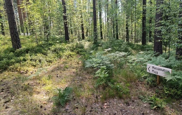 Metsänhaltijan majaa vartioivat eläimet