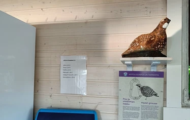 Lettubaarin juhannusjuhla vuodelta 2021 - Harri Kautonen musisoi ja kansa nauttii baarin antimista.