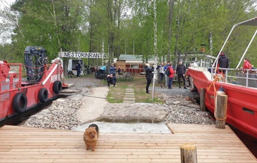 Lettubaarin juhannusjuhla vuodelta 2021 - Harri Kautonen musisoi ja kansa nauttii baarin antimista.