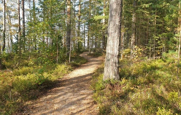 Yksi Ilkonsaaren kappeleista - Ilkonsaaren punainen kappeli on nimeltään Ivironin kappeli. Sen esikuva on Ivironin luostarin Portaitissa-ikonin kirkko ja kappelissa on kopio ortodoksien suuresti arvostamasta Portaitissa-ikonista. Helsingin metropoliitta Ambrosius vihki kappelin käyttöön 28.8.2017. 
